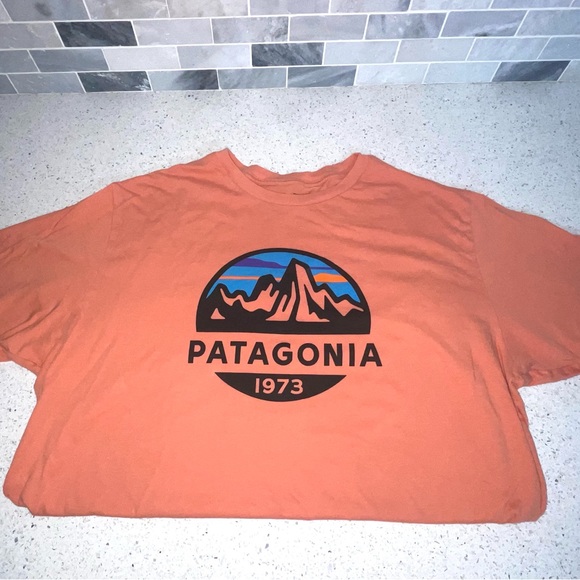 Patagonia Tshirt - Picture 1 of 2